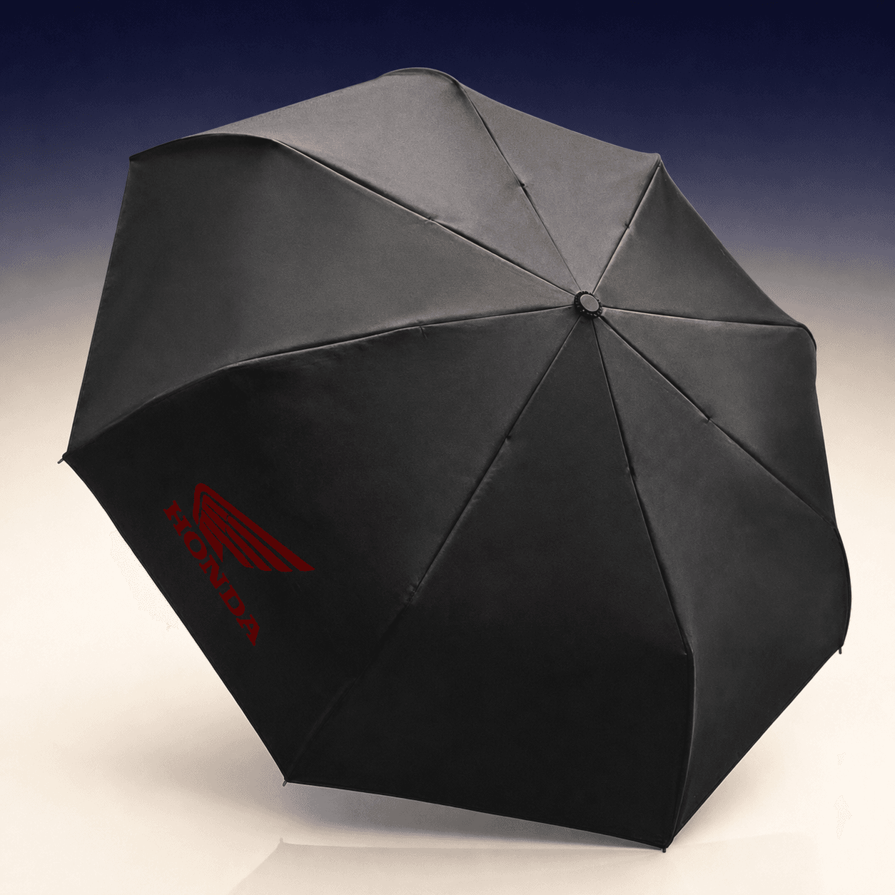 Folding Umbrella